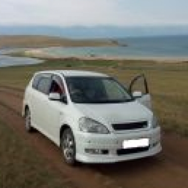 Колодки тормозные ipsum