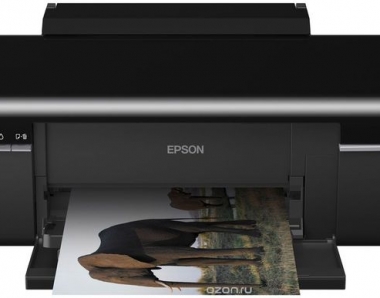 Epson l800 проблема в...