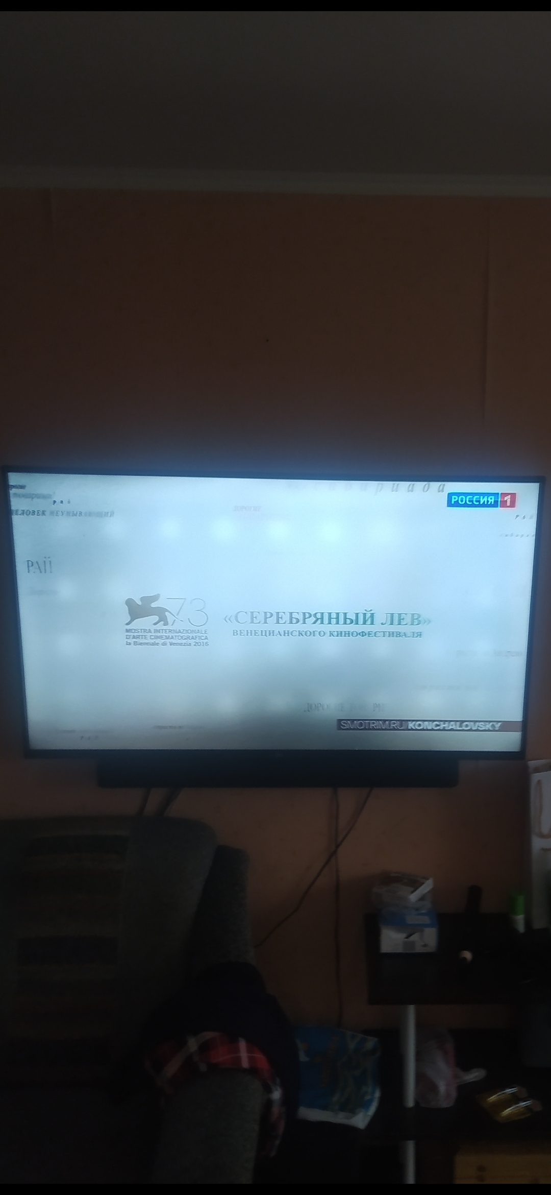 На экране телевизора...