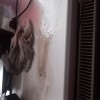 Почему из кофемашины...