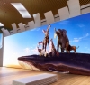 Корпорация ​Sony​...