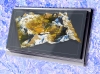 Компания Looking Glass​...