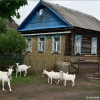Минкомсвязь...