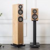Финская компания Penaudio...