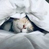 Илон Маск решил уйти...